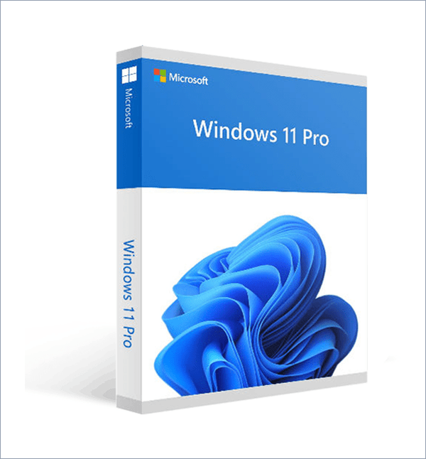 Windows 11 Professional License Key